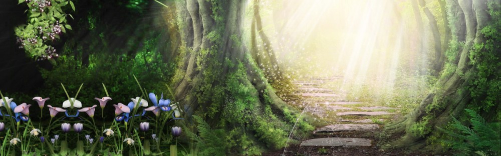梦幻背景背景图片素材免费下载_精品banner横幅素材免费的